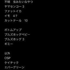 バス釣り引退　ワーム/プラグ　セットの画像