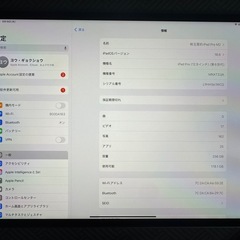 美品ipad 12.9 インチ第六世代WI-FI 256Gの画像