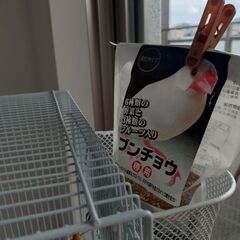 鳥かごの画像