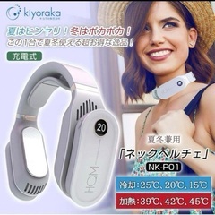 美品【1台で夏冬兼用】充電式 HQM ネックぺルチェ heater  and  cooler  の画像