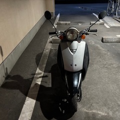 トゥデイ50 HONDA 原付バイクの画像