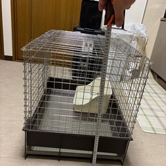 うさぎ用ケージの画像