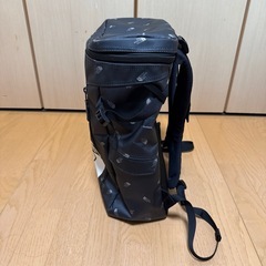 【決定】THE NORTH FACE リュックの画像