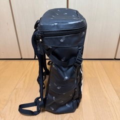 【決定】THE NORTH FACE リュックの画像