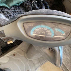 確認用Reiさんの画像