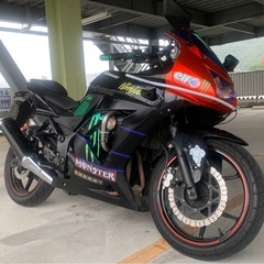 Ninjaバイク　　さらに値下げ　Kawasakiニンジャ250Rの画像