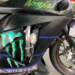 Ninjaバイク　　さらに値下げ　Kawasakiニンジャ250Rの画像