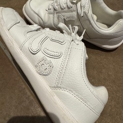 Sangacio サンガッチョ にゅ~ず の画像