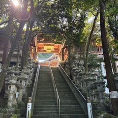 大好きな神社仏閣の離しませんか？