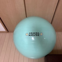 バランスボール　55cm
の画像