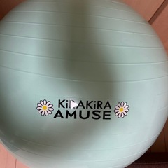 バランスボール　55cm
の画像