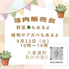 多肉販売会
