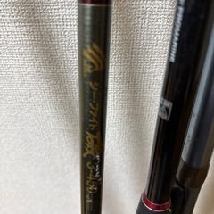 陸釣りの竿の画像