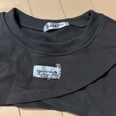 変わったトレーナー？の画像