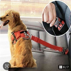 犬用シートベルトの画像