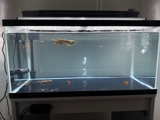 90×45×45すいそう水槽