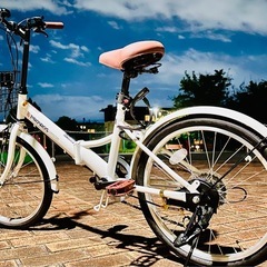 PROVROS (プロブロス) P-206 折りたたみ自転車 20インチ シマノ6段ギア カゴ・ワイヤー錠・ライト付きの画像