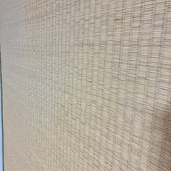 表変えしたばかりの畳12枚の画像