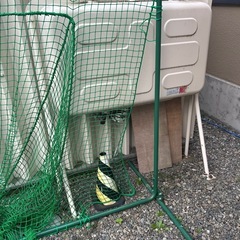 バッティングネット　野球練習の画像