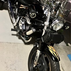 Kawasaki エリミネーター250v トライクの画像