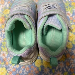 スニーカー瞬足17センチの画像