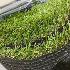 人工芝 ロールの画像