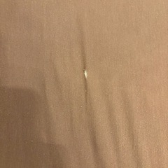 yogibo 人をダメにするソファ　ビーズの画像