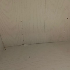 カラーボックス三段　の画像
