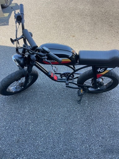 電動アシスト自転車