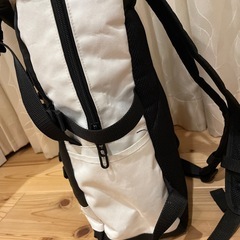 north face パックパック　大容量の画像