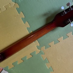 TEISCO EP-14 フルアコ　エレアコ　セミアコ　ギターの画像