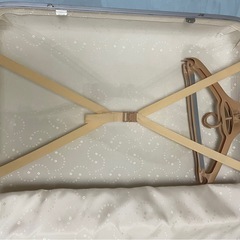 大型キャリーケースの画像