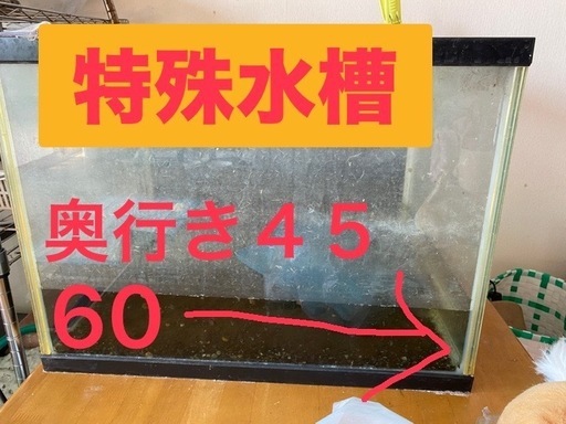 【荷物整理中】中々手に入りません。特殊水槽