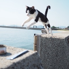 Twitter友達募集