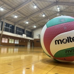 🌷メンバー募集中🌷 男女混合バレーボールサークル