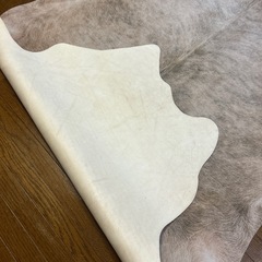 革のプリントラグの画像