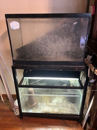中古60㎝2台と水槽台セット値下げ