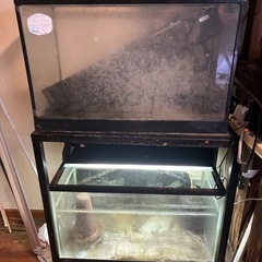 中古60㎝2台と水槽台セットの画像
