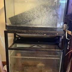 中古60㎝2台と水槽台セットの画像