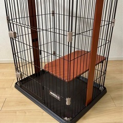 ボンビアルゴン　キャットゲージ
の画像
