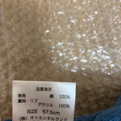 ドナルドダックのニット帽の画像