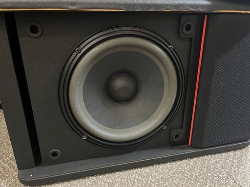 BOSE 301-AV MONlTOR セット