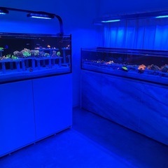 Aquarium Salon🪸Coral Intellig…