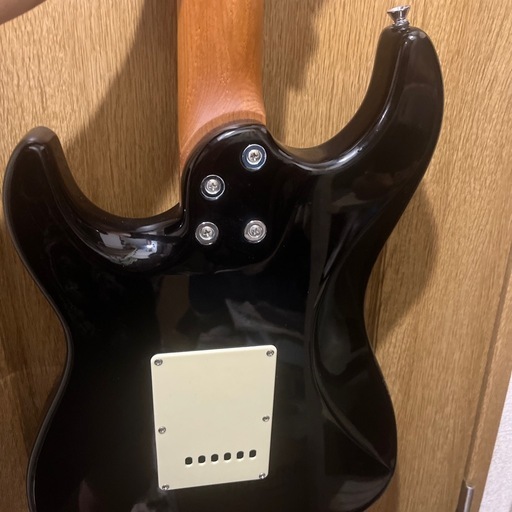 BACCHUS バッカス GS-2DX RSM/M BLK 