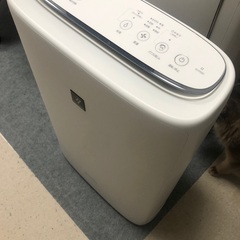 空気清浄機格安で譲りますの画像