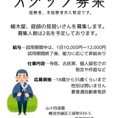 庭師見習い募集の画像