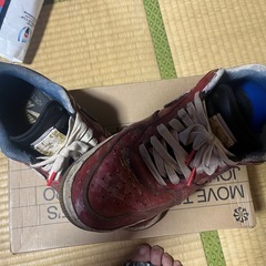 NIKE AIR オリジナルの画像