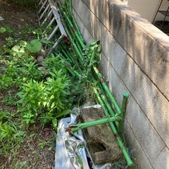 園芸用の支柱　無料大量の画像