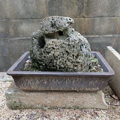 盆栽風の石の置物の画像