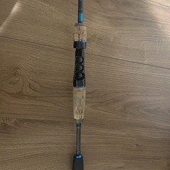 アブガルシアファンタジスタ、Revoオーロラセットの画像